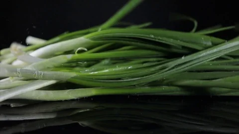 Green onion is falling down on black background, slow motion video Stock Footage 102617148