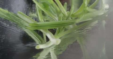 Green onion falls on a mirror surface with water Stock Footage 198344551
