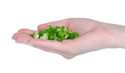 Green onion in hand Stock Photos