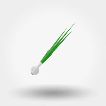 Green onion icon Stock Illustration