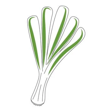 Green onion isolated vector illustration Ilustración de archivo