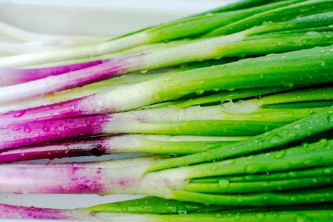 Green onion Stock Photos