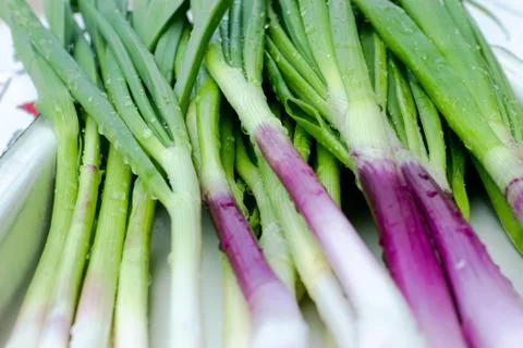 Green onion Stock Photos