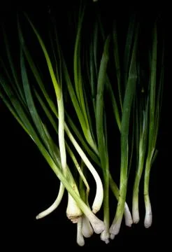 Green onion Stock Photos
