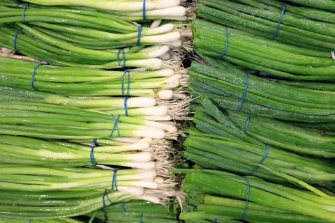 Green onion Stock Photos