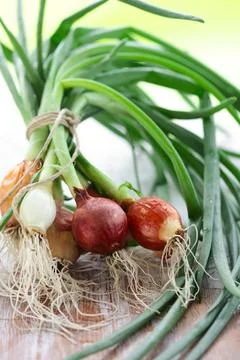 Green onion Stock Photos