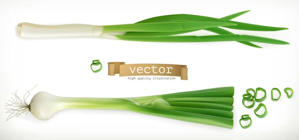 Green onion. Vegetable 3d vector icon Stock Illustration