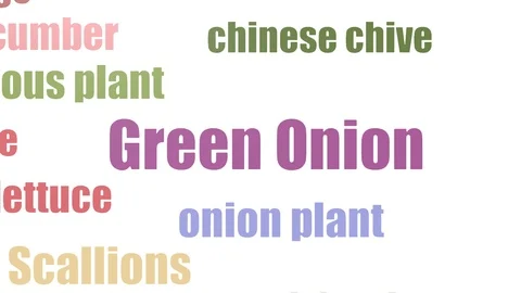 Green Onion Wordcloud Animated On White Background Vídeo Stock 103097380
