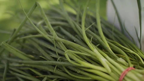 Green onions close up Stock Footage 138461682