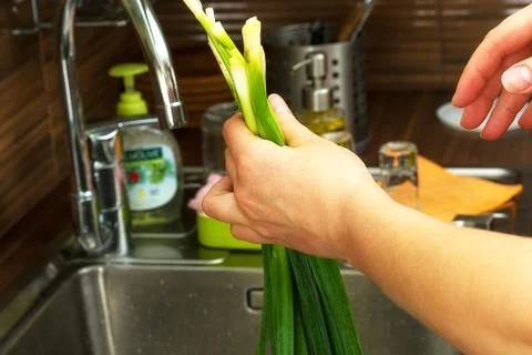 Green onions close-up Stock Photos