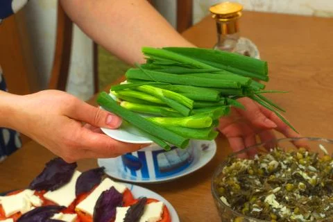 Green onions close-up Stock Photos