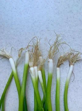 Green onions Foto stock