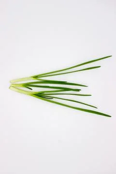 Green onions on white background Stock Photos