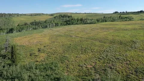 Green open field 動画素材 296795364