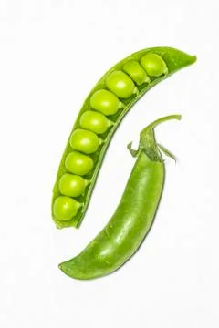 Green open pea pod Stock Photos
