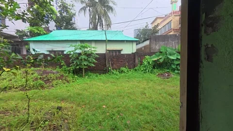 A green open yard and garden with wild plants beside a rural village house Stock Footage 342159020