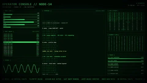 Green Operator Console Node Terminal Hex Stream Port Sweep Dashboard. Stock Footage 348009440