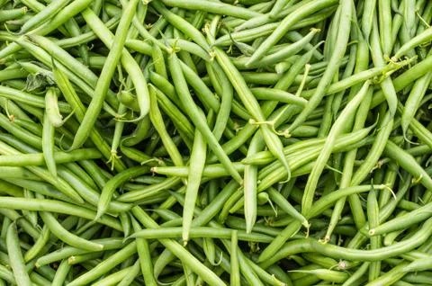 Green or snap beans on display Stock Photos