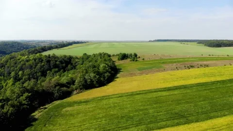 Green, orange and light brown field, forest and blue sky. Summer. Stock Footage 139222584