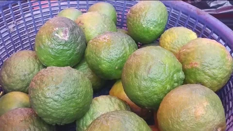 Green Oranges on the basket Stock Footage 236849092