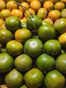 Green Oranges Stock Photos