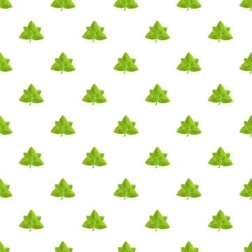 Green oregano leaves seamless pattern creating natural background Stock Illustration