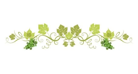 Green organic border Stock Illustration