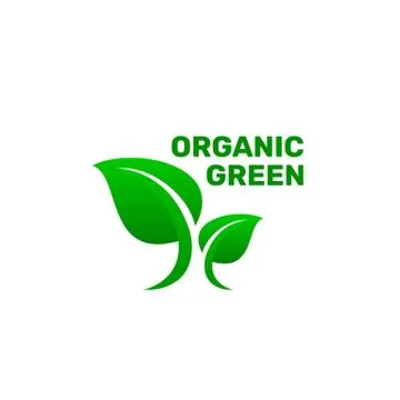 Green organic leaf of a tree, icon on a white background. Stock Illustration