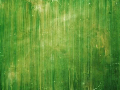 Green Organic Texture Stock Photos