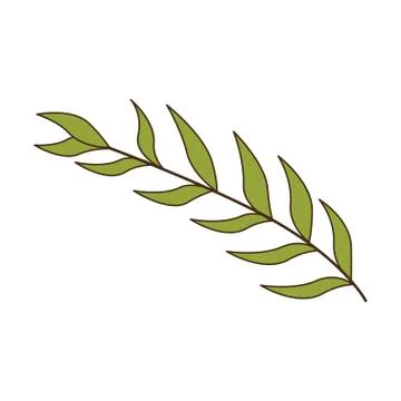 Green oval leaves with ramifications Stock Illustration