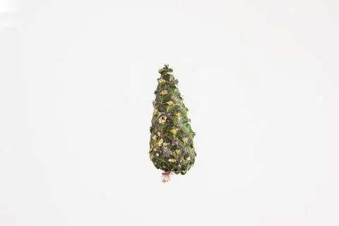 Green oval young pine tree cone isolated on white close up macro shot Stock-Fotos