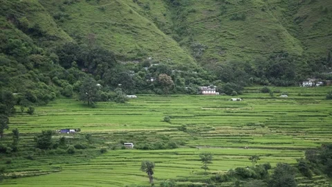 Green paddy fields with a village in the background, Bajhang, Farwest Nepal Stock Footage 285296075