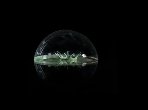 Green paint abstract crown splashed inside a bubble on the rim of martini glass Stock Photos