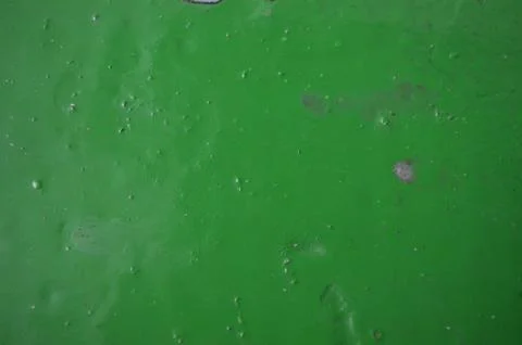 A green paint on the background. Stock Photos