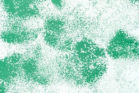 Green paint background, roller stroke texture design Stock Photos