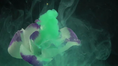 Green Paint Spreading On Flower Stock Footage 94331450