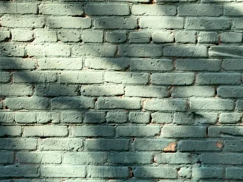 Green painted brick wall with shadow patterns Stock Photos