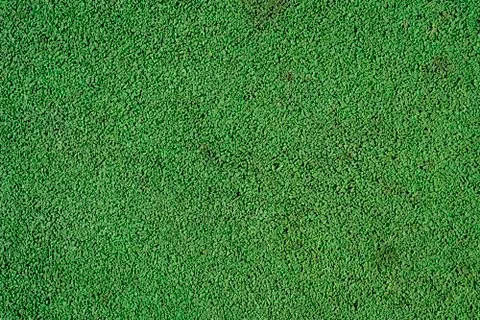 Green painted tiny stones texture. Foto stock