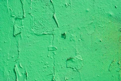 Green painted wall Foto stock