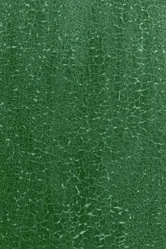 Green painted wall texture background, design template Stock Photos