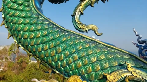 The green pair of Nagas opened their mouths Stock Footage 264080093