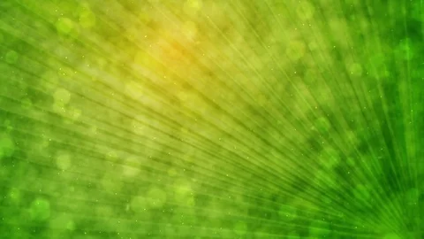 Green Palm Leaf Background For Palm Sunday Stock Footage 72821653
