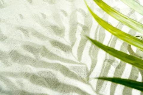 Green palm leaf casting a striped shadow on fine white sand, creating a tro.. Stock-Fotos