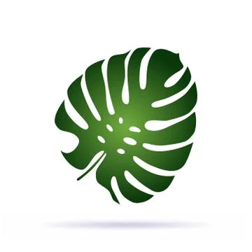 Green palm leaf icon Stockillustratie
