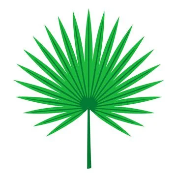 Green palm leaf illustration in vector style Stock Illustration