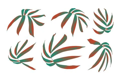 Green palm leaf isolated on white background Stock Illustration