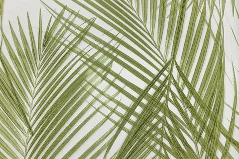 Green palm leaf pattern on a textured wallcovering Stock Photos
