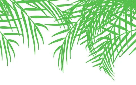 Green Palm Leaf Tropical Background Vector Illustration Ilustración de archivo