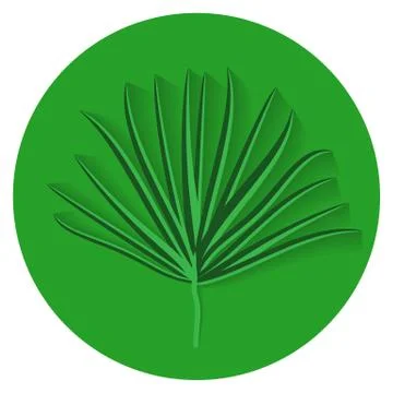 Green Palm Leaf on White Background. Vector Illustration Stock Illustration
