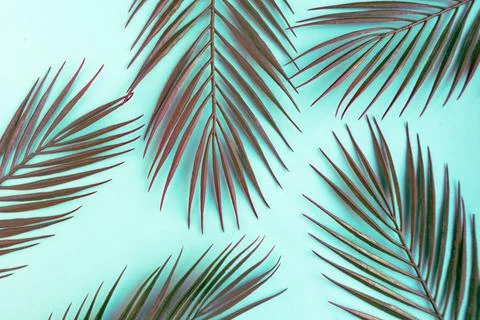 Green palm leafs pattern on blue pastel background Foto stock